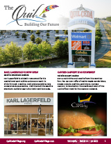 newsletter thumbnail image