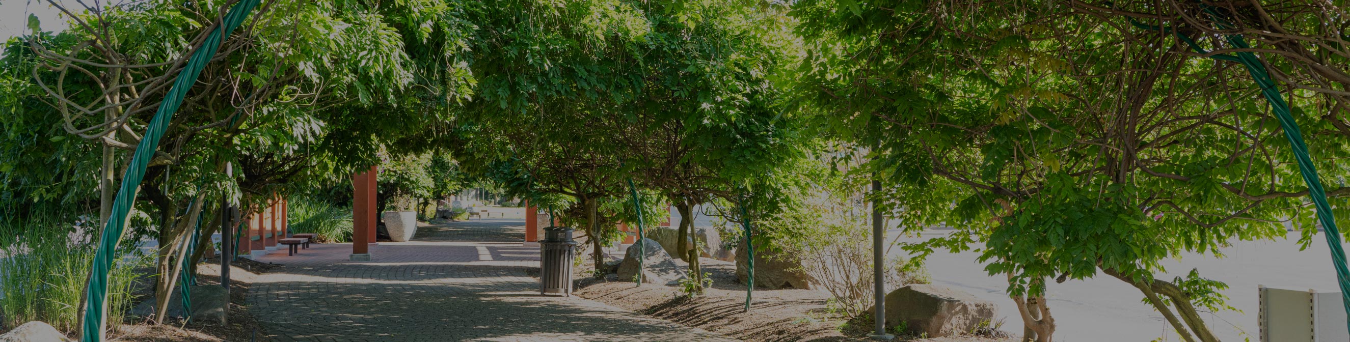 Header Image