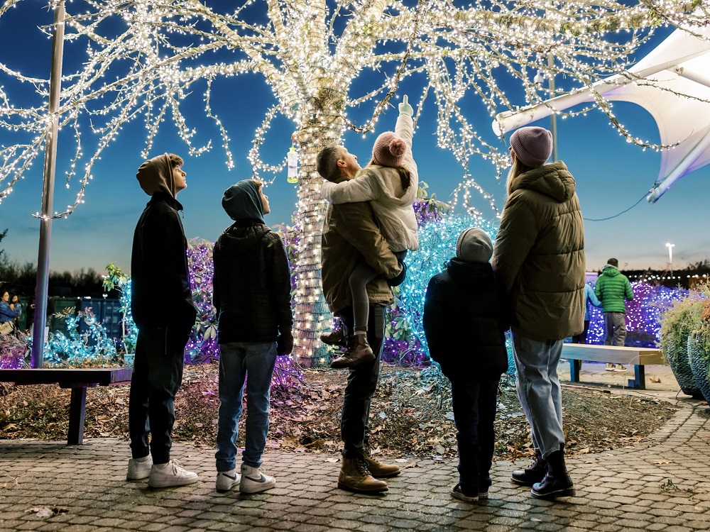 A father and mother with their four children, standing under a beautiful tree with all white lights covering every branch.